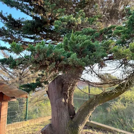 La Tara - Vue - Parking - Terrasse Сasa de vacaciones *