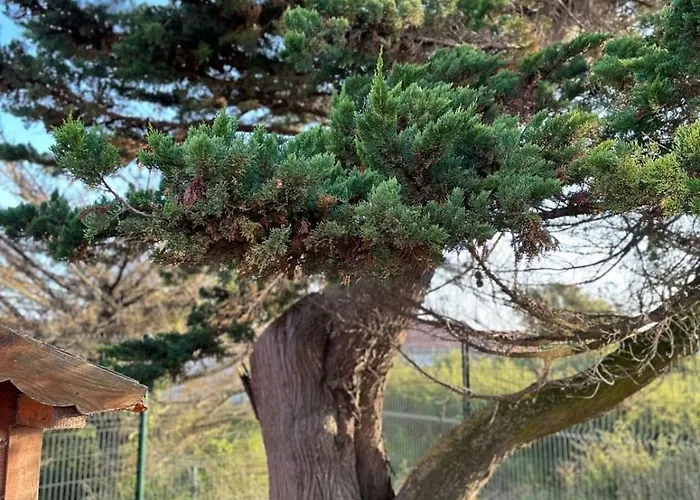 La Tara - Vue - Parking - Terrasse Casa vacanze *